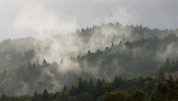 Mystery of Fog
