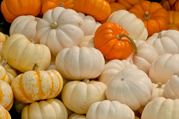 A collection of small pumpkins.