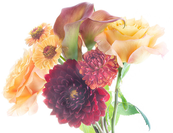I got these beautiful flowers from The Flower and the B., This was part of a video I recently make.