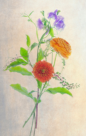 An arrangement of some of my favorite flowers. This picture is a good companion for the Ranunculus.