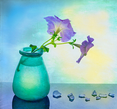 Still Life with Petunias