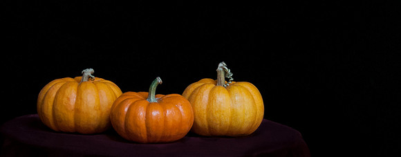 An arrangement of pumpkins
